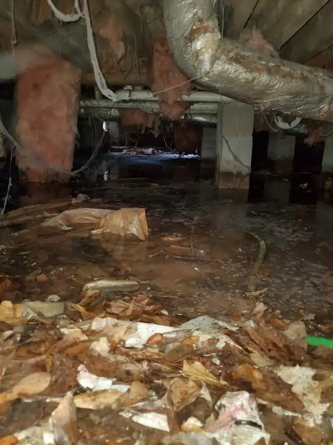 Crawl space flood assessment for Leak Detection & Repair in Turlock